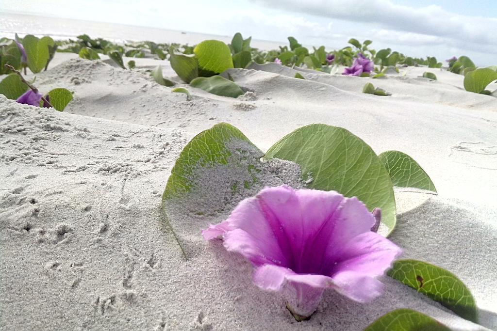 Pousada Taruma Mucuri Buitenkant foto